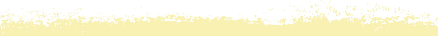 Baliyo Ventures Footer