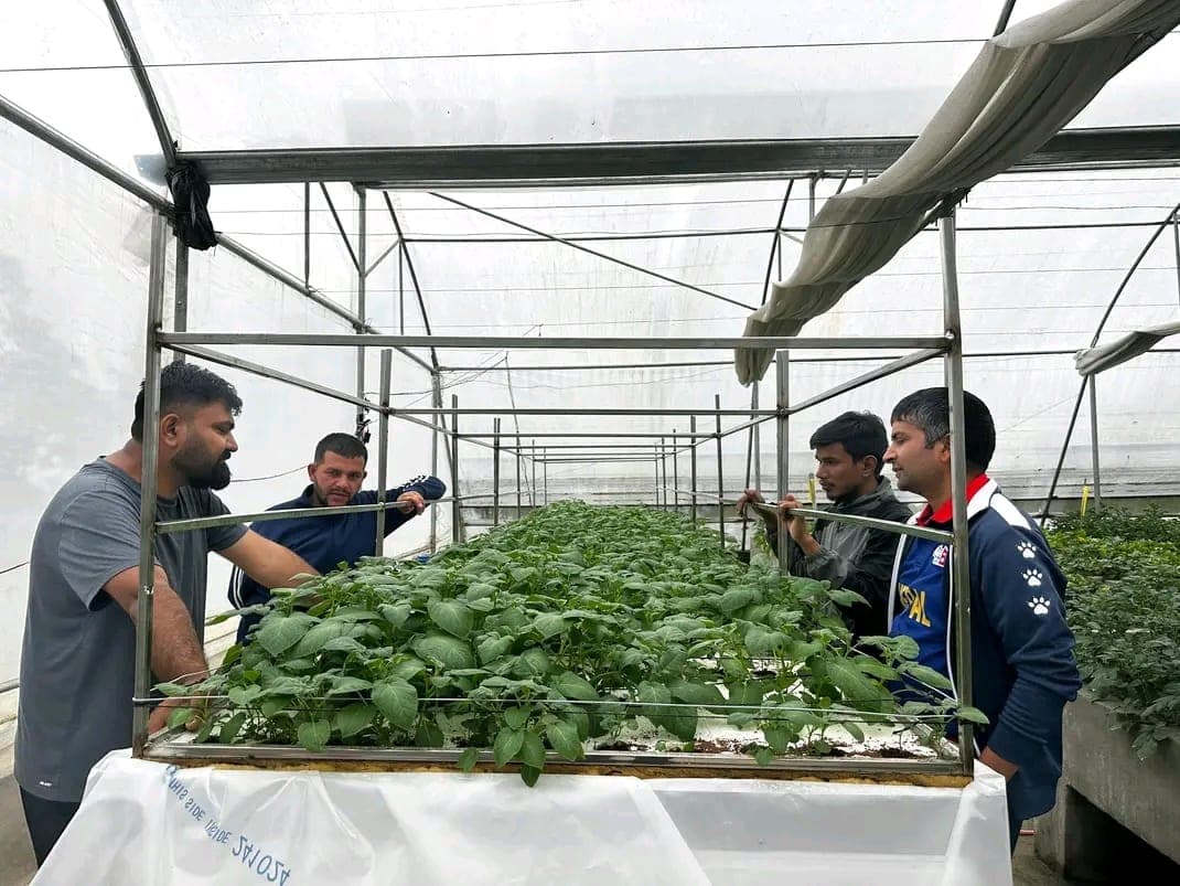Agricultural Automation & IoT Monitoring System